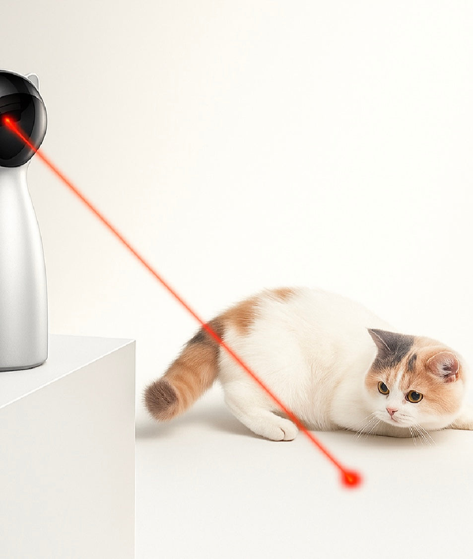 Jeux & Divertissement