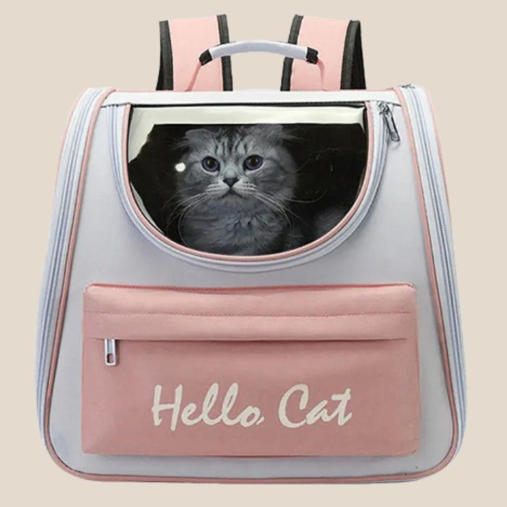 Accessoires & Transport