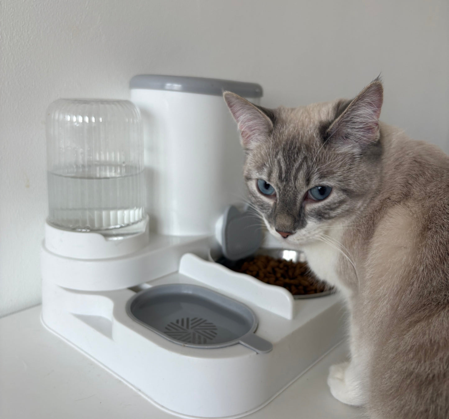 Fontaine et Gamelle Automatique pour Chat
