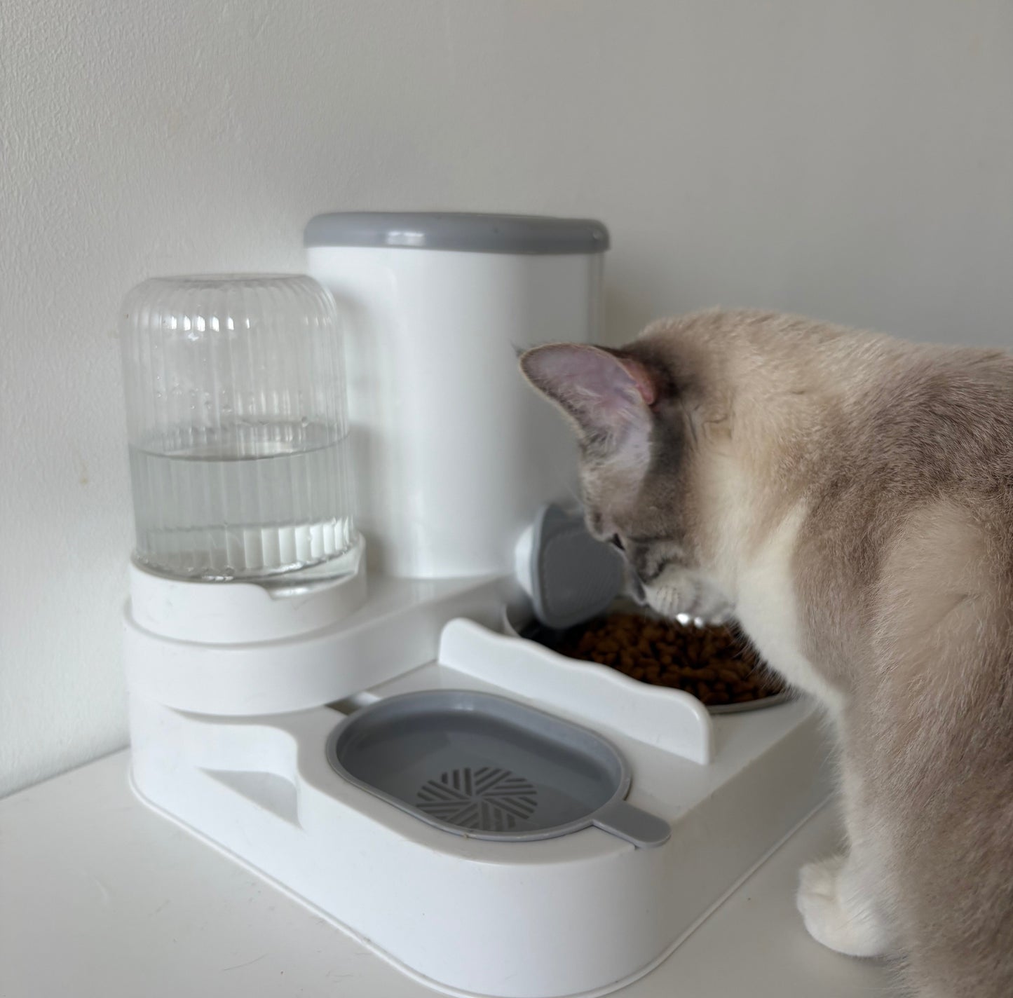 Fontaine et Gamelle Automatique pour Chat