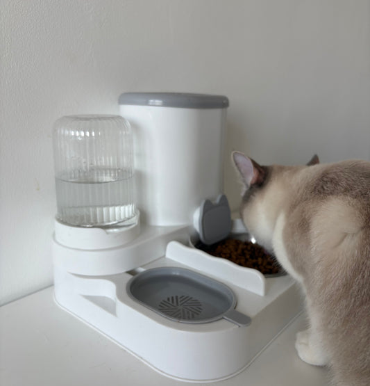 Fontaine et Gamelle Automatique pour Chat