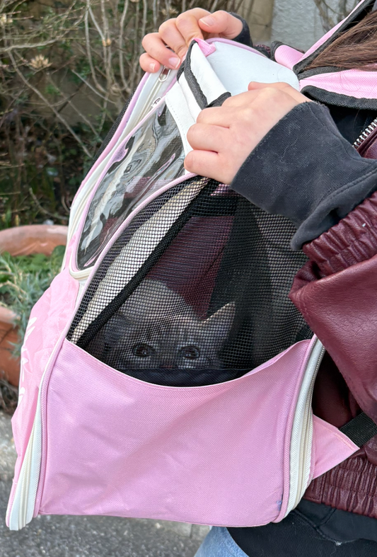 Sac à Dos pour Chat