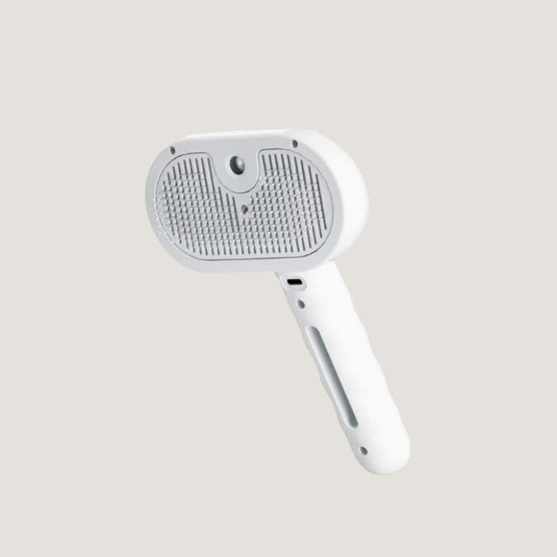 Brosse à Vapeur pour Chat