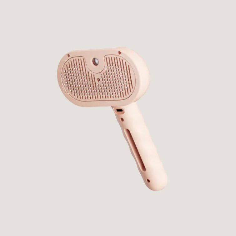 Brosse à Vapeur pour Chat