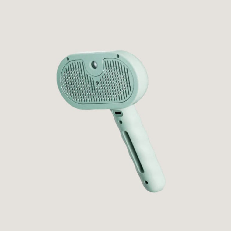 Brosse à Vapeur pour Chat