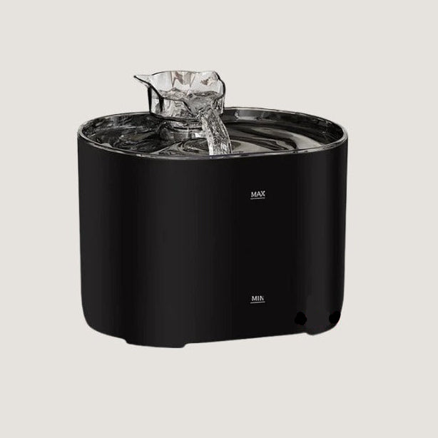 Fontaine à Eau pour Chat