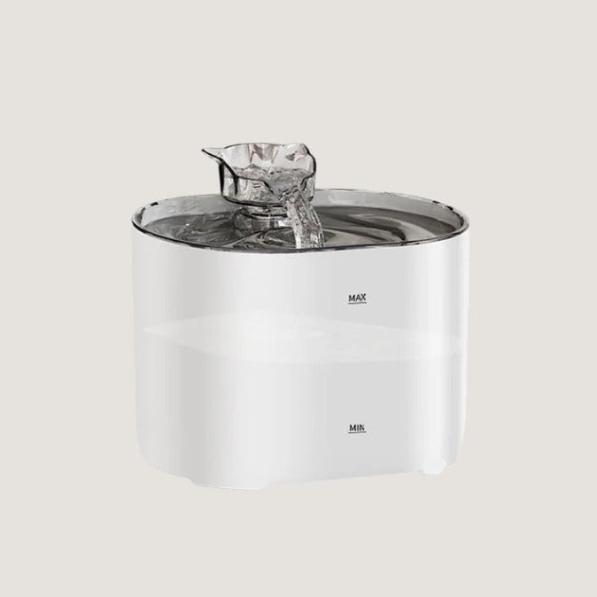 Fontaine à Eau pour Chat